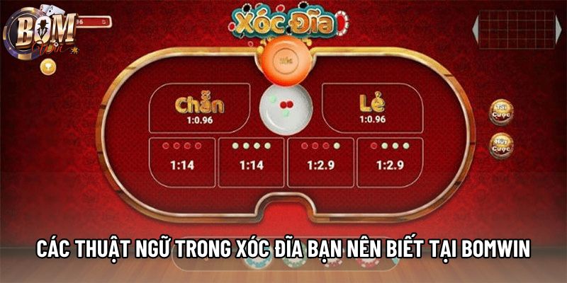 Các thuật ngữ trong xóc đĩa bạn nên biết tại Bomwin Các thuật ngữ trong xóc đĩa bạn nên biết tại Bomwin