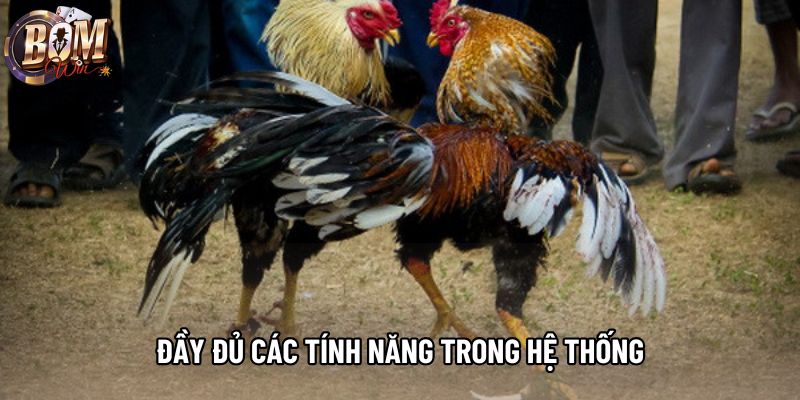 Đầy đủ các tính năng trong hệ thống Đầy đủ các tính năng trong hệ thống