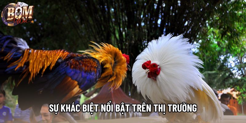 Sự khác biệt nổi bật trên thị trường Sự khác biệt nổi bật trên thị trường