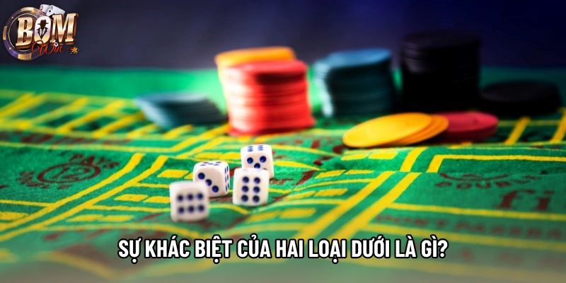 Sự khác biệt của hai loại dưới là gì? Sự khác biệt của hai loại dưới là gì?